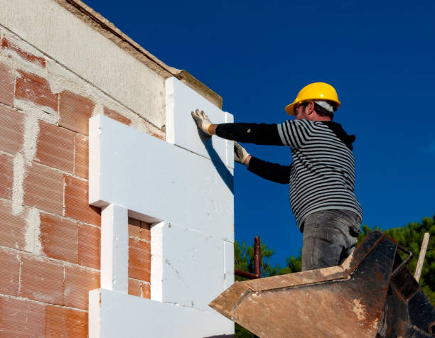 Best Professional Insulation Contractor  in Alamae, NC