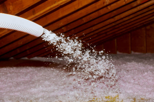 Best Affordable Insulation Services  in Alamae, NC