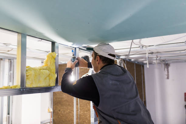 Best Spray Foam Insulation  in Alamae, NC