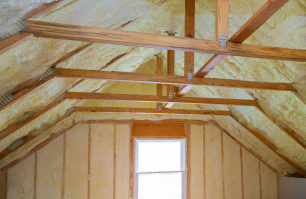 Best Soundproof Insulation Installation  in Alamae, NC