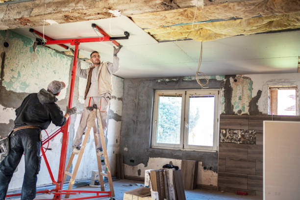 Best Insulation Removal  in Alamae, NC