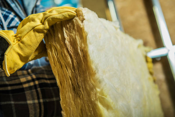 Best Insulation Contractors for Homes  in Alamae, NC