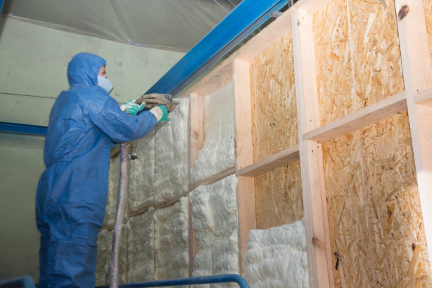 Best Best Insulation Companies  in Alamae, NC