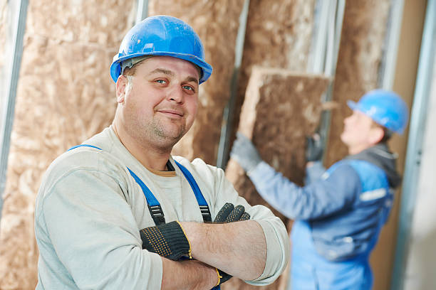 Best Energy-efficient Insulation  in Alamae, NC
