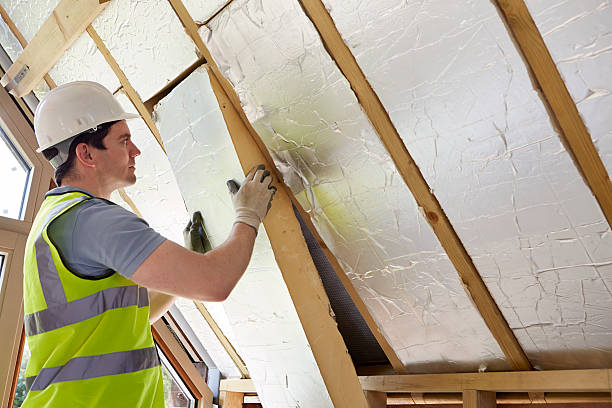 Best Attic Insulation Installation  in Alamae, NC